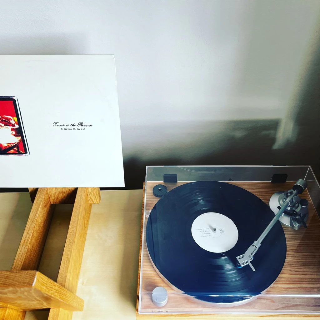 Songs in the Key of Life — Stevie Wonder, olive matte sleeve